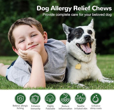 Dog Allergy Chews, Dog Itch Relief Chews for Paw Licking Itchy Skin, Probiotics with Omega-3 Turmeric Astragalus for Large Dogs Coat Immune Supplement-150ct
