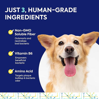 TEEF FOR LIFE Protektin42K Prebiotic Cat and Dog Dental Powder Kit - Tasteless Dog Breath Freshener & Food and/or Water Additive - No Sodium - Pet Plaque & Tartar Support, 180 Servings - 6 Packets