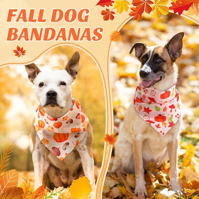 Abbylike 50 Pcs Fall Dog Bandanas Bulk Autumn Pumpkin Bandanas for Dogs Triangle Kerchief Bibs Scarf for Pets Thanksgiving Party Costume Photo Props Accessories, 25 Styles (31.5 x 21.7 x 21.7)