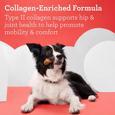 DreamBone CollaYUMS Knots Plus Collagen Chews for Dogs, 8 Count, Treat Your Dog to Rawhide-Free Chews Made with Chicken, Vegetables and Peanut Butter