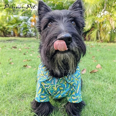 Parisian Pet Tribal Leaves Dog Shirt - Cotton Clothes for Large Dogs - Stylish Tropical Dog Outfit - Lightweight and Soft Puppy Clothes - Trendy Tshirts for Dogs - Comfortable Summer Camp Pet Apparel