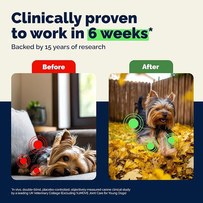 YuMOVE Small Dog Hip & Joint Supplement Soft Chews, ActivEase Green Lipped Mussel, Glucosamine for Dogs, Hyaluronic Acid & Omega 3 - Hickory Seafood Flavor - 60 Chews (Small/Medium Dogs)