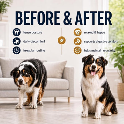 Dog Constipation Relief Made in USA – Liquid Stool Softener for Dogs, Fast Acting Dog Laxative for Constipation & Blockage Support, Gentle Digestive Aid