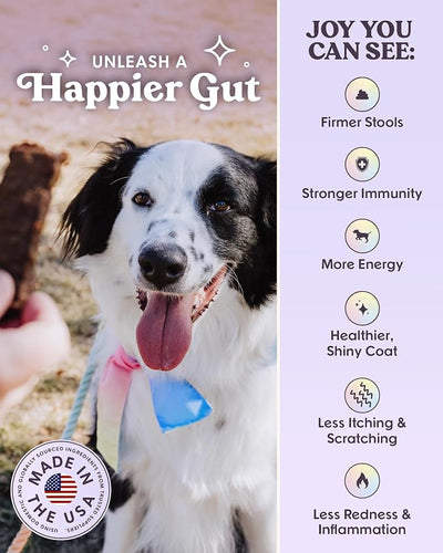 Bundle x Joy Ride & Vibe Wild-Caught Salmon Jerky for Dogs - 2 Lbs Bag, Natural Superfood - Corn, Poultry, Soy & Grain Free Salmon Dog Treats Made in USA Only