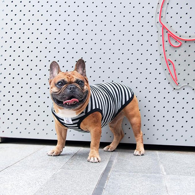 iChoue Pug 100% Breathable Cotton Striped T Shirts Halloween Vest Clothes for Medium Dogs Tank Tops Puppy French Bulldog Frenchie English Boston Terrier Pitbull Grey Black Stripes - Small