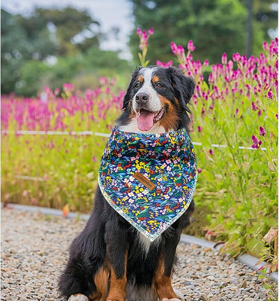 Lionheart Glory Darkblue Flower Bandana - Washable Soft Dog Scarf, Square Adjustable for Medium Large Dogs