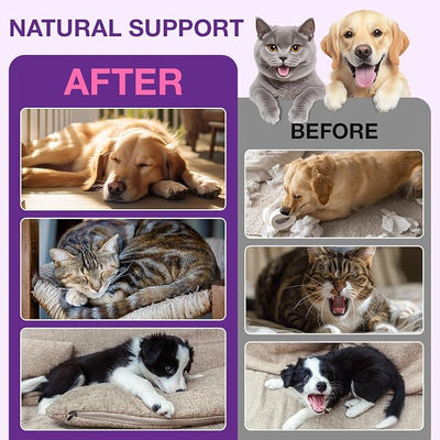 Liquid Melatonin for Dogs & Cats, 60ml Dog Melatonin Calming Drops with L-Theanine, Cat Calming Dog Sleep Aid Support Anxiety Relief for Travel, Separation, Barking, Fireworks