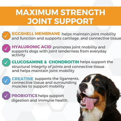Progility Maximum Strength Hip & Joint Supplement for Large Dogs – Daily Mobility & Joint Support with Eggshell Membrane, Glucosamine, Chondroitin, & MSM, Soft Chews (60 Count)