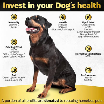 Joint Supplement for Dogs 500mg Glucosamine + 500mg MSM, Eggshell Membrane - Daily Hip and Joint Chews with Chondroitin, Green Lipped Mussel, Duck Flavor, Non-GMO, 90ct