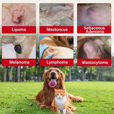 Lipoma Treatment for Dogs & Cats, Dog Balm with Castor Oil, DMSO Cream, Support Joint Comfort with Natural Ingredients, Reduce Bumps, Promotes Healthy Tissue & Skin, Safe for All Breeds-60g