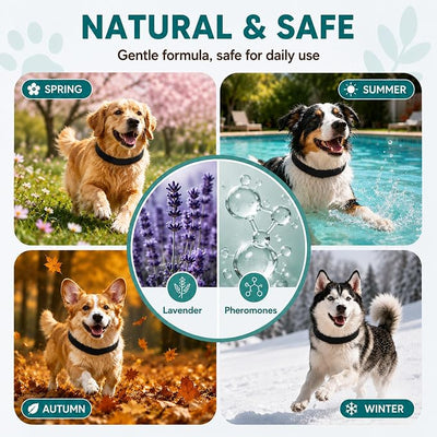 Calming Collar for Dogs – 6 Pack Pheromone Dog Anxiety Collar, Adjustable 25 Inch, Long-Lasting Stress Relief, Waterproof, All Breeds & Puppies, Up to 60 Days Per Pack (Black)