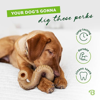 Benebone Tiny 2-Pack, Tripe Bone Durable Dog Chew Toy for Aggressive Chewers, Real Tripe, Made in USA