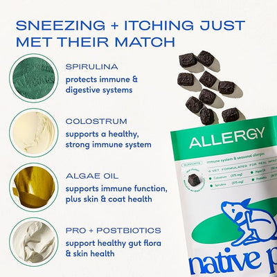 Native Pet Dog Allergy Chews - Dog Allergy Relief for Medium Breeds - Supports Seasonal Itch Relief, Healthy Immune Function & Reduces Sneezing - Colostrum, Spirulina, & Probiotics - 60 Days Supply