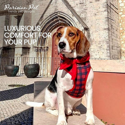 Parisian Pet Red Plaid Dog Harness - Breathable No Pull Puppy Harness with Leash Ring - Adjustable Harnesses for Dogs - Soft Padded Step-in Pet Vest - Lightweight Dog Vests for Small Sized Dogs