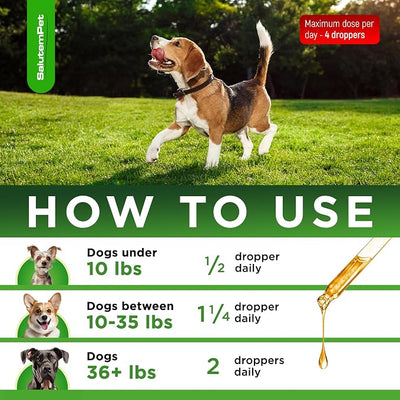 Natural Antibiotics for Dogs and Puppies – Antibiotics for Dogs of All Ages – Herbal Ingredients – Helps with Allergies and UTIs – for Balanced Digestion – Joint Care – Bacon Taste – 2 Oz