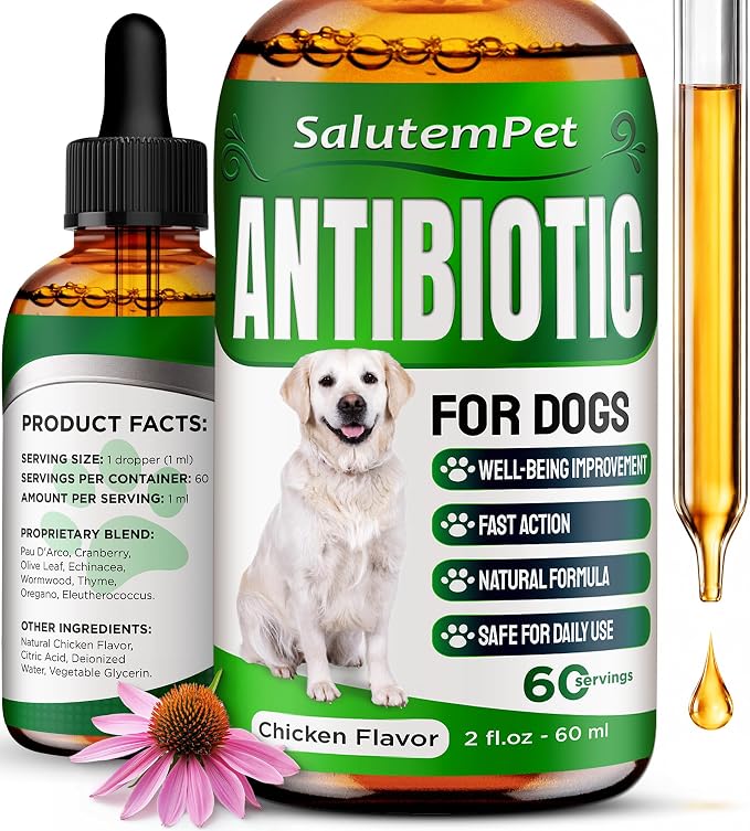 Dog Antibiotics for Infections, Cough, & Itching | Natural Antibiotics for Dogs for All Ages to Promote Wound Healing | Dog UTI Treatment and Tooth Infection Treatment | Chicken Flavor | 2 Oz