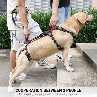 COODEO Mobility Dog Lift Harness, Support Sling & Walking Sling for Dogs, Pet Rear Leg Rehabilitation Support Vest, Dog Carrier for Senior Dogs with Joint Injuries, Arthritis, Up Stair (Red, L)