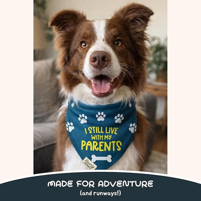Funny Snap-On Dog Bandana for Small Medium Large Pets, Dogs Cats Adjustable Handkerchief Scarf for Girl & Boy, Cute Puppy Apparel & Accessories (Still Live with Parents, Medium)