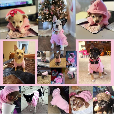 Jecikelon Soft Dog Hoodies for Small Dogs, Fleece Puppy Sweatshirt with Pockets, Warm Winter Cold Weather Coats for Pet Cat, Cute Clothes Puppy Costume (Pink, Large)