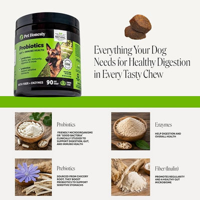 6 Billion CFU Dog Probiotics with Prebiotics, Digestive Enzymes, & Fiber - Relief for Occasional Diarrhea, Gas, Bloating & Itchy Skin - Daily Gut Health & Immune Support for All Dogs (Pumpkin, 90 ct)
