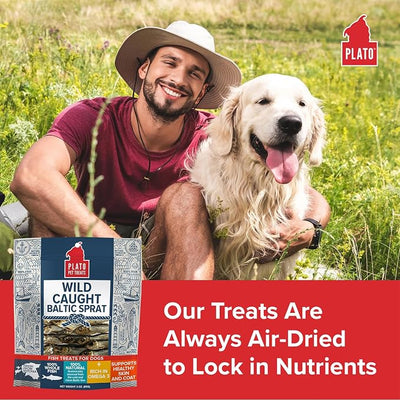 Plato Pet Treats Fish Dog Treats - Air-Dried, Single Ingredient Pet Treat - Omega 3 & 6 Fatty Acids to Support Skin and Coat - 100% Whole Fish - Wild Caught Baltic Sprat - 3 oz - 2 Pack