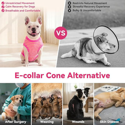 cyeollo Dog Surgery Recovery Suit, Surgical Onesie for Female & Male Dogs