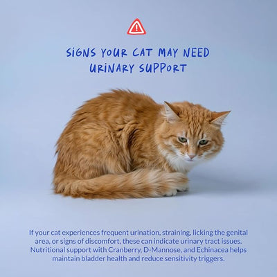 Cranberry for Cats Powder - UTI, Bladder Health & Incontinence | Cranberry powder for cats. Supports UTI relief, bladder health & urinary tract function. Helps with stones & incontinence.