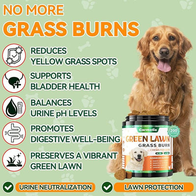 Carmelie Dog Urine Neutralizer for Lawn Grass Burn – Dog Pee Grass Chews 200ct Green Grass Burn Spot Chews for Dogs with DL-Methionine, Probiotics & Enzymes – Supports Urinary & Digestive Health