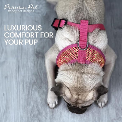 Parisian Pet Girl Dog Harness - Breathable Mesh Pink Yellow No Pull Puppy Harness with Leash Ring - Adjustable Harnesses for Dogs - Soft Step-in Pet Vest - Lightweight Dog Vests for Large Dogs