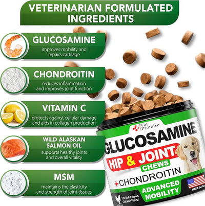 Glucosamine for Dogs - Hip and Joint Supplement for Dogs - Glucosamine Chondroitin - Joint Pain Relief Pills - MSM - Advanced Health Support Supplement - 170 Mobility Chews - Made in USA