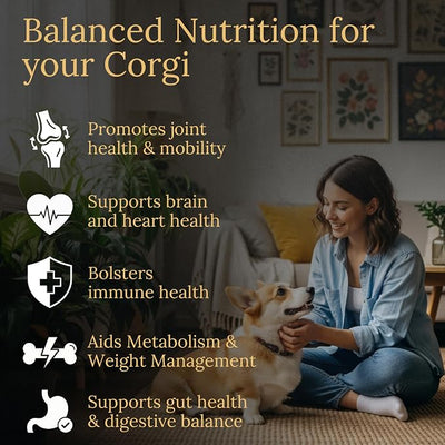 Multivitamins, Balanced Nutrition for Your Corgi, 90 Count, Made in the USA with Real Bacon