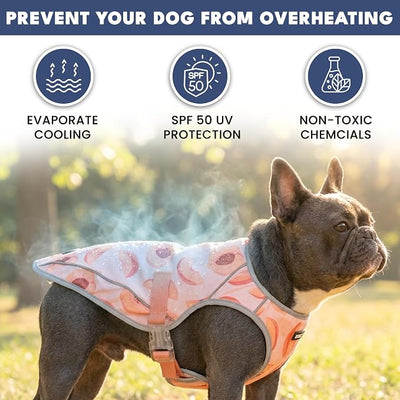 Spark Paws Dog Cooling Vest - SPF 50 UV Sun Protection - Summer Heat Relief Gear for Dogs, Lightweight, Evaporative Cooling - Dog Anxiety Relief Vest During Hot Days - Peaches - Size 4XL