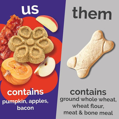 Fruitables Biggies Dog Biscuits - Crunchy Pumpkin Healthy Dog Treats for Training - Free of Wheat, Corn and Soy - 16 oz (Variety Pack of 4)