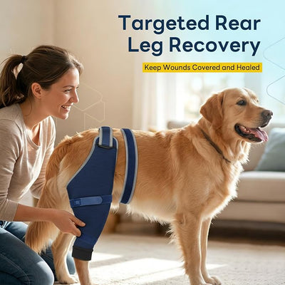 Dog Sleeve for Rear Legs to Stop Licking, Upgraded Recovery Sleeve for Hind Back Leg Wounds,TPLO, ACL Surgery, Light Comfortable Cone Alternative,Left,L,Blue