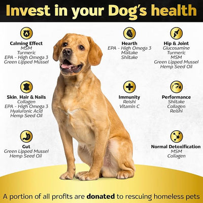 Dog Skin and Coat Supplement, Bacon Flavor, 90ct | 800mg Collagen, Omega 3, Glucosamine, MSM, Coat Shine, Normal Shedding, Hip and Joint Support