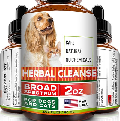 Herbal Cleanse for Dogs and Cats - Intestinal Defense with Wormwood & Black Walnut - Homeopathics Parasites & Toxins for Dogs & Cats - Healthy Gut - Puppy & Kitten - All Breeds - US Made - 2fl.oz