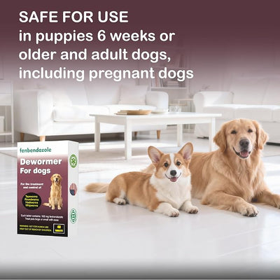 Dewormer for Dogs, Fenbendazole for All Wormers, Roundworms, Tapeworms, Whipworms and Hookworms, 48 Count