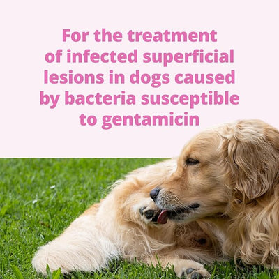 GENTACALM® Topical Spray (Gentamicin Sulfate, USP with Betamethasone Valerate, USP) 120 mL Spray Bottle for Dogs