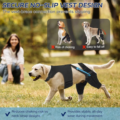 Dog Knee Brace for Torn ACL Hind Leg– Dog Leg Brace with Metal Stabilizers for Dogs with Torn ACL, Luxating Patella, Ligament Injuries & Hip Dysplasia, Limping or Osteoarthritis Recovery, XS