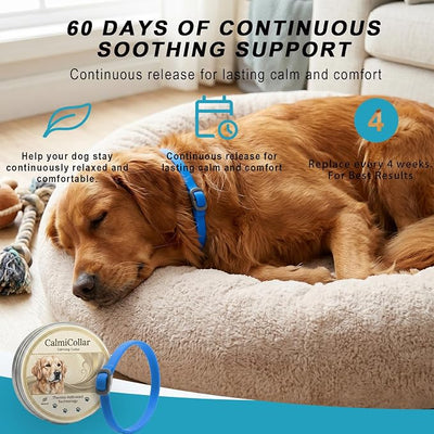 Calming Collars for Dogs, Helps Soothe and Relax, Adjustable Size, Suitable for Small, Medium and Large Dogs
