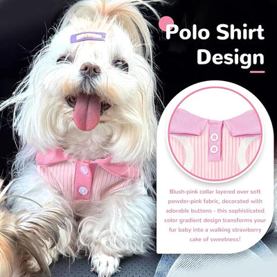 2 Pack Dog Tshirts for Small Dogs Polo Shirt Stretchy Dog T Shirt Breathable Dogs Cooling Vest Girl Boy Puppy Dachshund French Bulldog Frenchie Chihuahua Clothes (Pink & White,)