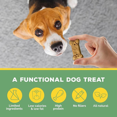 Brutus Bone Broth Biscuits for Dogs - Protein-Rich Dog Treats with Bone Broth and Real Chicken Meat - All Natural and Tasty - 8oz, Pack of 6, Chicken Flavor