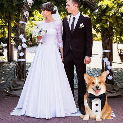Dog Tuxedo Bandana Collar with Bow Tie, Adjustable Formal Suit Costume for Small Medium Large Dogs, Wedding Engagement Birthday Pet Outfit (Small)