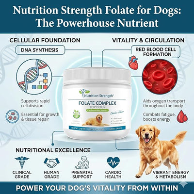 Folate for Dogs to Promote Cardiovascular & Prenatal Health, Support DNA Synthesis & Cell Maintenance, Folic Acid for Dogs with Zinc, Biotin, Iron & Vitamin B12, 120 Soft Chews
