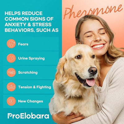 Dog Calming Pheromone Plug Diffuser: Dog Calming Pheromones Diffuser - Reduces Stress & Anxiety Calming Pheromone Diffuser for Dogs - Calm Dogs 60 Supply