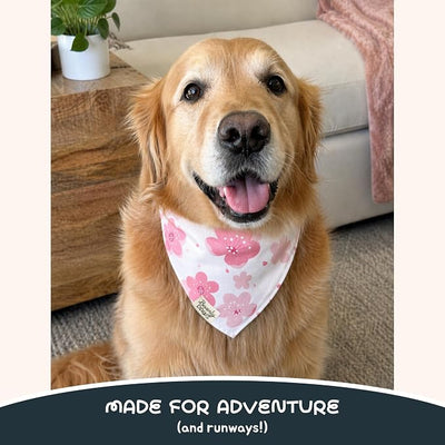 Snap-On Dog Bandana for Small Medium Large Pets, Dogs Cats Adjustable Handkerchief Scarf for Girl & Boy, Funny Cute Puppy Apparel & Accessories (Pink Flowers, Small)