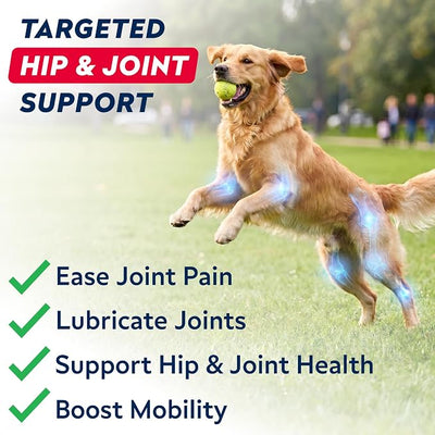 Advanced Hip & Joint Supplement for Dogs, w/Glucosamine & Omega-3-6 Fish Oil - Chondroitin MSM - Advanced Mobility Chews - Joint Pain Relief - Hip & Joint Care - Made in USA (180Ct)