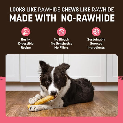 Earth Animal No Hide Chews - Long Lasting Rawhide Free Medium Dog Chews Rolls, Salmon - 3 Count Value Pack
