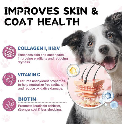Liquid Collagen for Dogs and Cats, 5 Types of Grass-Fed Collagеn (I, II, III, V & X) with MSM, Biotin and Hyaluronic Acid, Daily Wellness Formula, 2 Oz