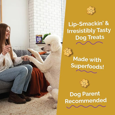 Fruitables Baked Dog Treats, Healthy Pumpkin Treat for Dogs, Low Calorie & Delicious, Made Without Wheat, Corn and Soy, Made in the USA, Allergy Friendly, Chicken and Cranberry Flavor, 12 oz